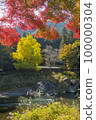 Autumn's Okutama 100000304