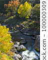 Autumn's Okutama 100000309