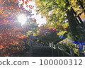 Autumn at Mitake Shrine 100000312