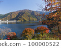 Lake Okutama 100000522