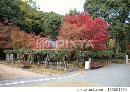Tatsuno townscape Autumn Juentei Rakuan Tatsunocho, Tatsuno City, Hyogo Prefecture 100001204
