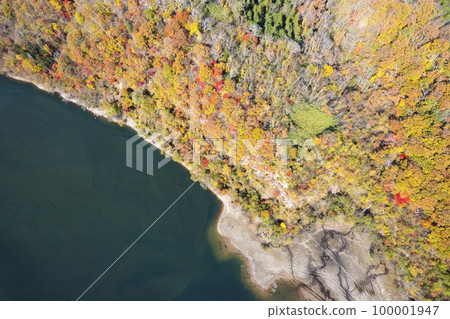 Aerial shot of Lake Eniwa in autumn with a drone (true bird's-eye view) 100001947