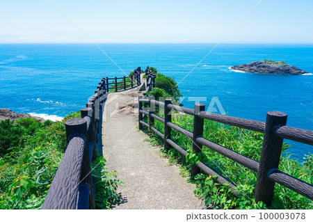 懸崖峭壁的馬瀨展望台(宮崎縣日向市)〉〉 懸崖峭壁的馬瀨展望台(宮崎縣日向市)〉〉 100003078