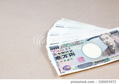 pile of money 100003972