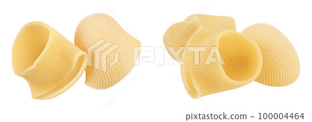 lumaconi pasta isolated on white background with full depth of field. Top view. Flat lay lumaconi pasta isolated on white background with full depth of field. Top view. Flat lay 100004464