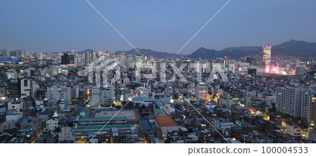 德壽宮青瓦台 100004533