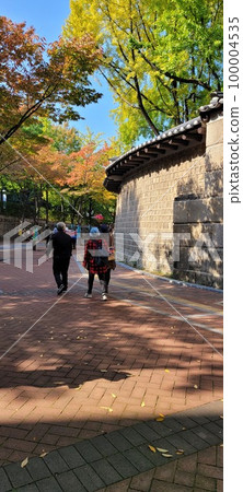 德壽宮青瓦台 100004535