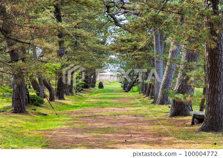 Early summer in Nikaho, Akita, the old approach to Kanmanji Temple in the fresh greenery Early summer in Nikaho, Akita, the old approach to Kanmanji Temple in the fresh greenery 100004772