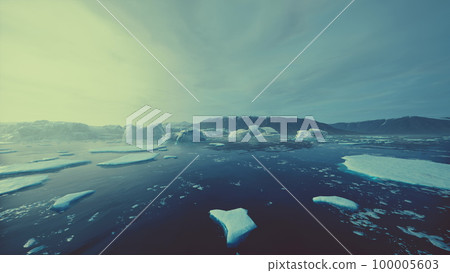 Arctic nature landscape with icebergs in Greenland icefjord 100005603