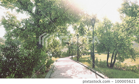 Stone Path through a Peaceful Green Park 100005621