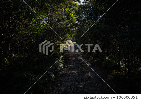 road to hideout 100006351