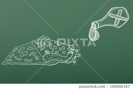 Chalk drawing terrified leopard snail awaiting of death from venom. Pest control concept 100006387