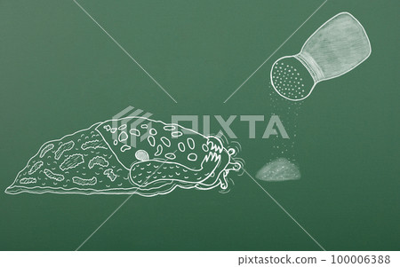 Chalk drawing terrified leopard snail awaiting of death from salt. Pest control concept Chalk drawing terrified leopard snail awaiting of death from salt. Pest control concept 100006388