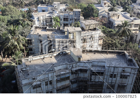 India Bamboo construction scaffolding India Bamboo construction scaffolding 100007825
