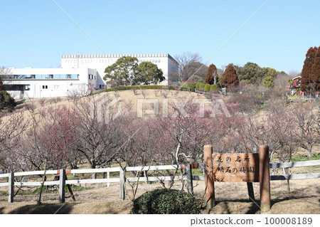 Plum garden in Ishigaya Park (Akashi City, Hyogo Prefecture) 100008189