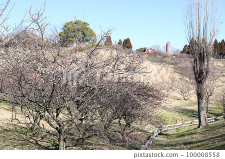 Plum garden in Ishigaya Park and Ishigaya Nature Studio (Akashi City, Hyogo Prefecture) Plum garden in Ishigaya Park and Ishigaya Nature Studio (Akashi City, Hyogo Prefecture) 100008558