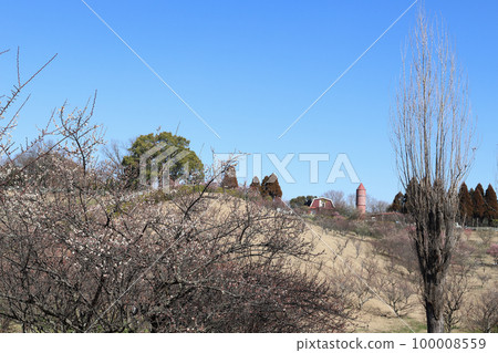 石谷公園梅園和石谷自然工作室(兵庫縣明石市) 石谷公園梅園和石谷自然工作室(兵庫縣明石市) 100008559