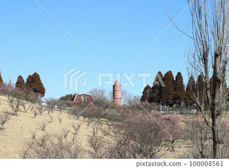 石谷公園梅園和石谷自然工作室（兵庫縣明石市） 100008561