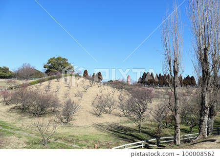 石谷公園梅園和石谷自然工作室（兵庫縣明石市） 100008562