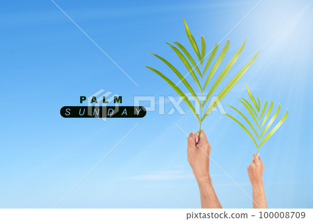 Palm Sunday 100008709