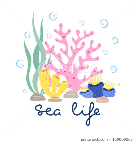 cartoon flat card with coral, seaweed and lettering cartoon flat card with coral, seaweed and lettering 100009262