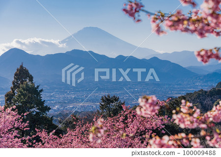 (Kanagawa Prefecture) View of Mt. (Kanagawa Prefecture) View of Mt. 100009488