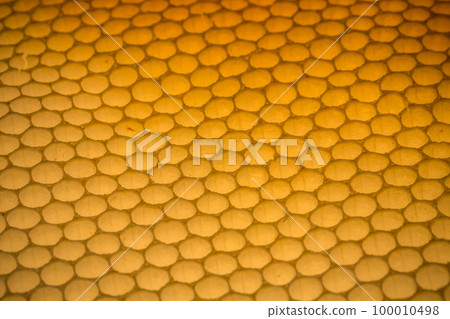 Honeycomb Honeycomb 100010498