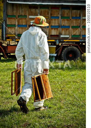 Beekeeper at work 100010510