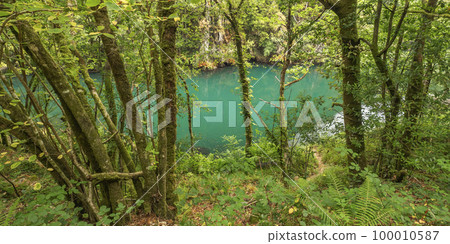 Fragas do Eume Natural Park, Pontedeume, Spain 100010587