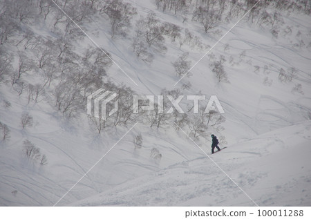 在北海道俱知安二世古安努普利的偏遠地區滑雪的單板滑雪者。 在北海道俱知安二世古安努普利的偏遠地區滑雪的單板滑雪者。 100011288