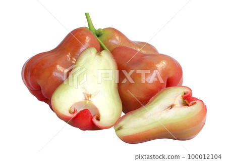 rose apple fruit isolated on white background. 100012104
