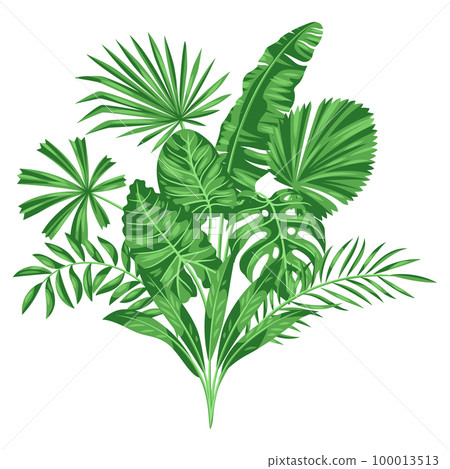 Background with stylized palm leaves. Image of tropical foliage and plants. 100013513