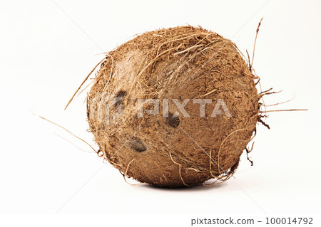 Whole natural coconuton isolated on white background Whole natural coconuton isolated on white background 100014792