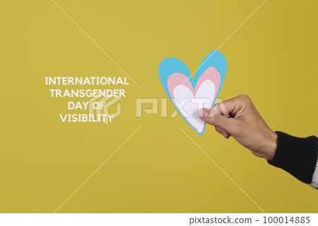 international transgender day of visibility 100014885