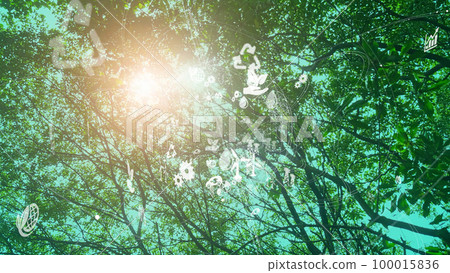 Global Environmental Image Ecology Sustainable SDGs 100015836