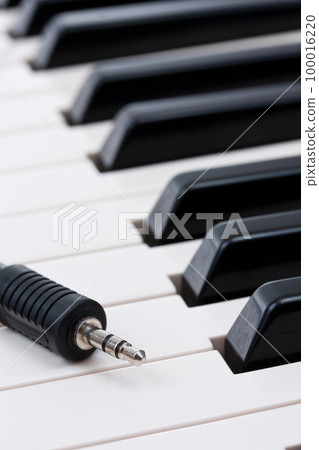 electronic piano 100016220