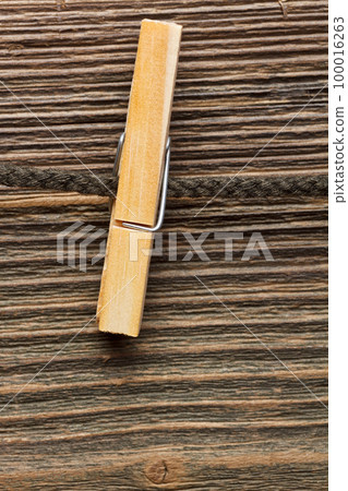 Clothes-line and peg 100016263