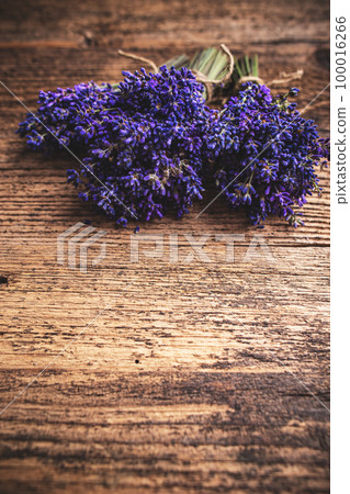 Bouquets of fresh lavender 100016266