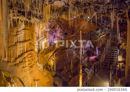 Hoshino Cave on Minamidaito Island 100016360