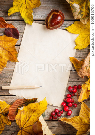 Autumn leaves 100016706