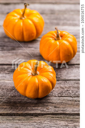 Mini orange pumpkin 100016755