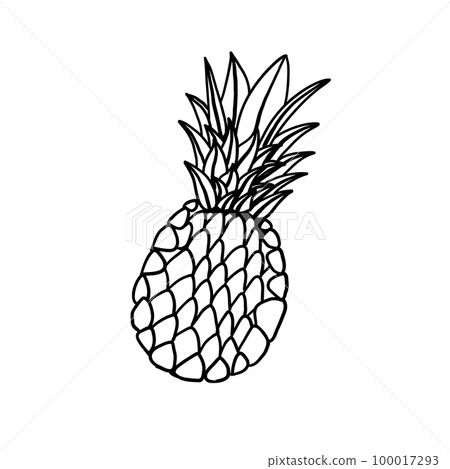 Pineapple in outline doodle style 100017293