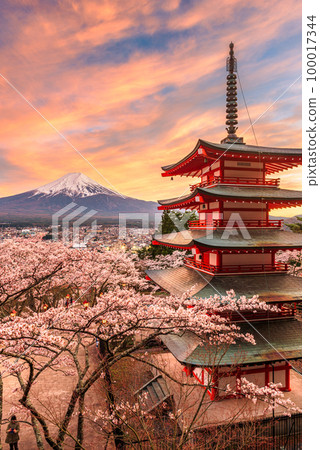 Mt. Fuji and Peace Pagoda in Spring Season 100017344