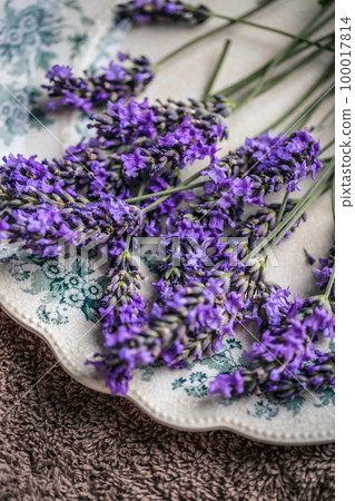 Bunch of lavender flowers Bunch of lavender flowers 100017814