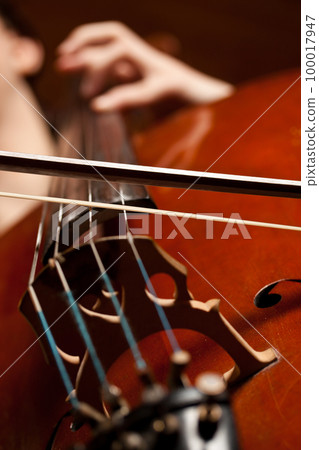 playing the cello 100017947