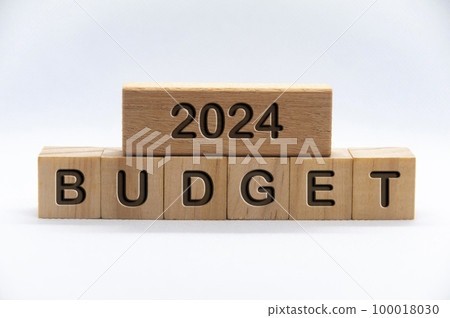 Budget 2024 text engraved on wooden blocks with white cover background. Budgeting concept. 100018030