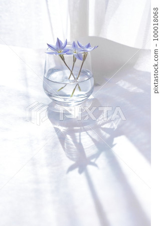 窗邊的花道，陽光透過樹叢 100018068