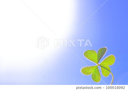 Sun, blue sky and three-leaf clover 100018092