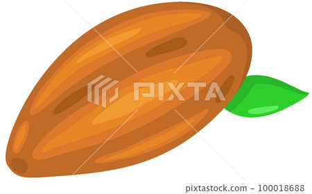 Cacao Pod Cacao Pod 100018688