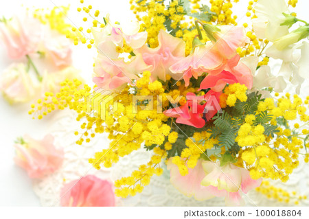 含羞草和甜豌豆 含羞草和甜豌豆 100018804